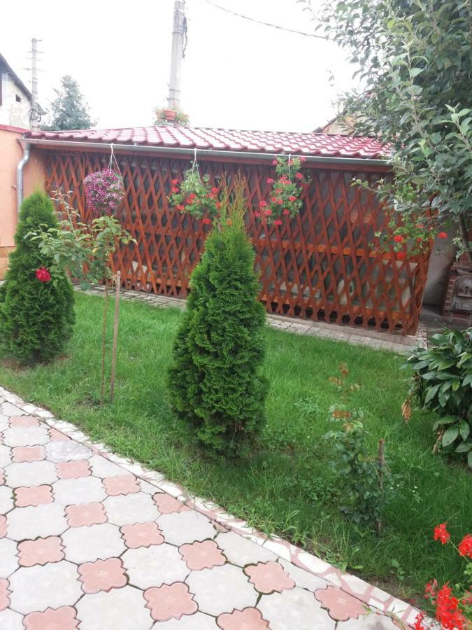 Olimpia Apartments Alba Iulia Esterno foto