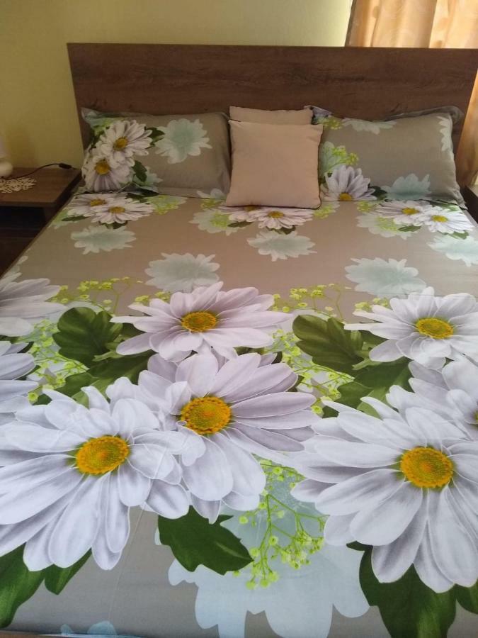 Olimpia Apartments Alba Iulia Esterno foto